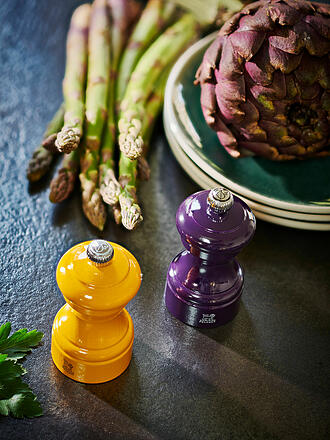 PEUGEOT | Moulin à sel BISTRORAMA 10cm Buche / Safran