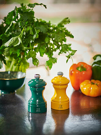 PEUGEOT | Moulin à poivre BISTRORAMA 10cm Buche/Vert forêt