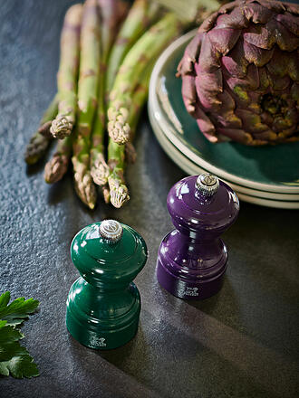 PEUGEOT | Moulin à sel BISTRORAMA 10cm hêtre/vert forêt