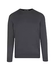 PHIL PETTER | Kaschmirpullover | Gris