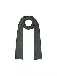 POLO RALPH LAUREN | Écharpe | Olive