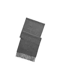 POLO RALPH LAUREN | Écharpe | Gris clair