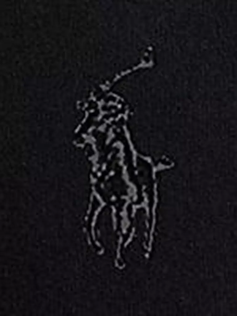 POLO RALPH LAUREN | Pull Troyer Coupe Standard | 