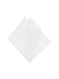 PROFUOMO | Pochette de costume | Blanc