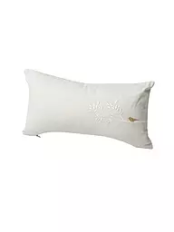 RAEDER | Coussin rempli COUSSIN DE RÊVE 33x17cm Goldvogerl | Beige