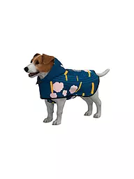 RAINKISS | Poncho de pluie pour chien | Bleu