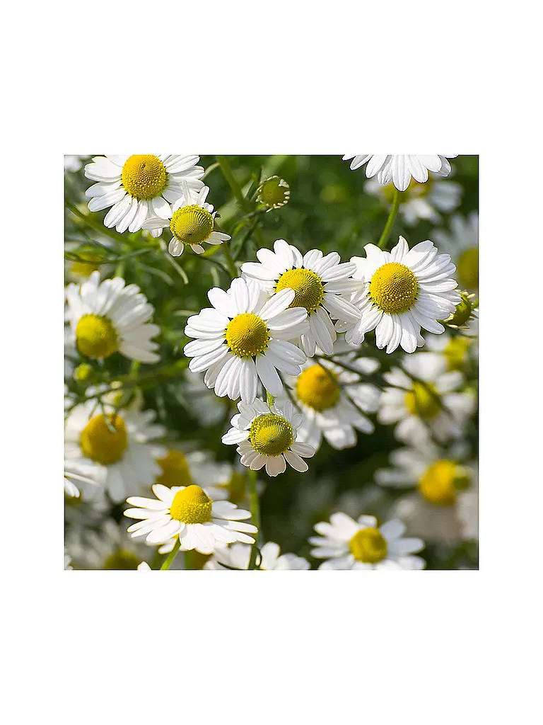 RAUSCH | Coffret cadeau - Sensitive 2024 | 