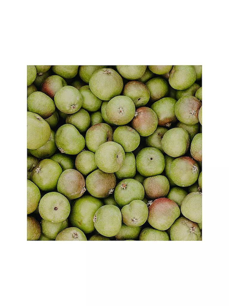 RAUSCH | Soin capillaire - Shampooing peeling anti-pollution à la pomme suisse 100ml | 