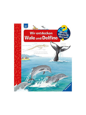 RAVENSBURGER | Livre - Wieso Weshalb Warum - Nous découvrons les baleines et les dauphins, volume 41
