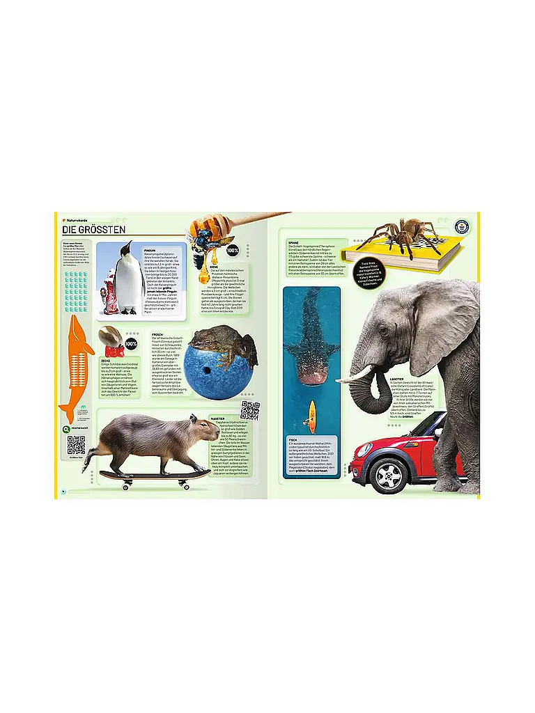 RAVENSBURGER | Livre - Guinness World Records - 2026 | Multicolore