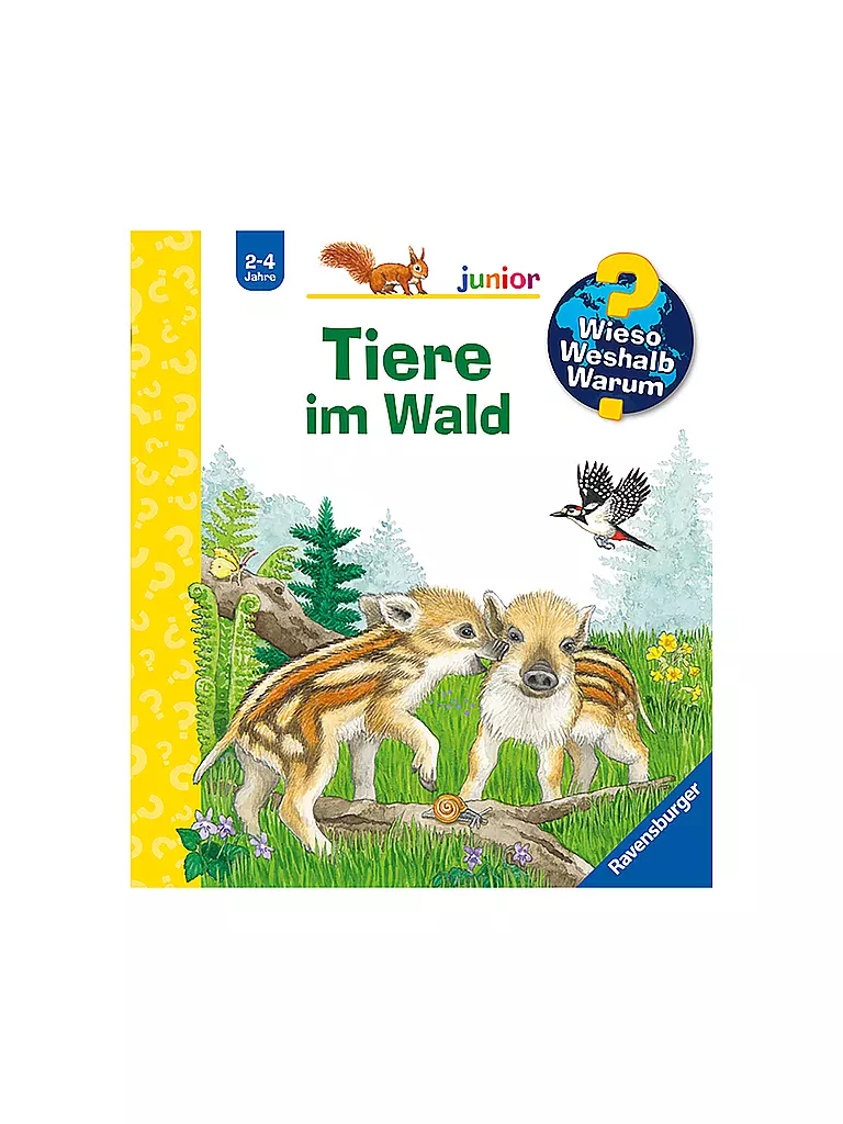 RAVENSBURGER | Livre - Wieso Weshalb Warum Junior - Animaux dans la forêt, Patrizia Mennen | keine Farbe
