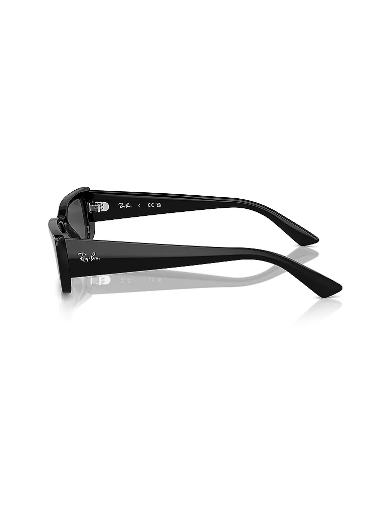RAY BAN | Lunettes de soleil 0RB4425/54 TERU | schwarz