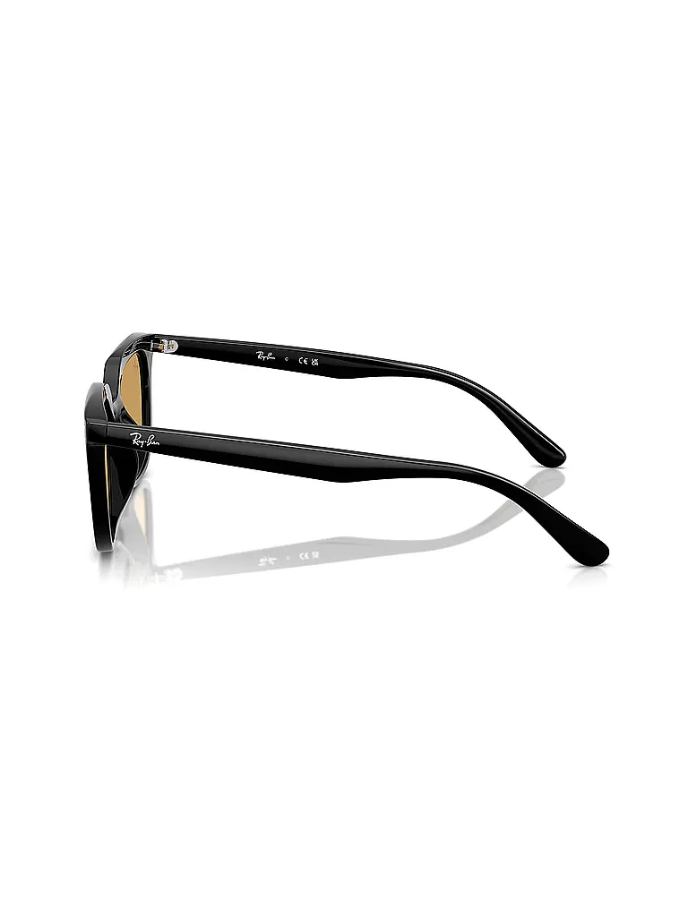 RAY BAN | Lunettes de soleil 0RB4439D/54 | 