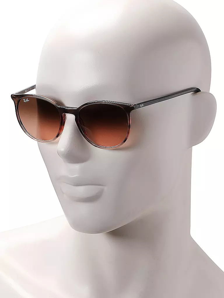 RAY BAN | Lunettes de soleil 2204/54 | 