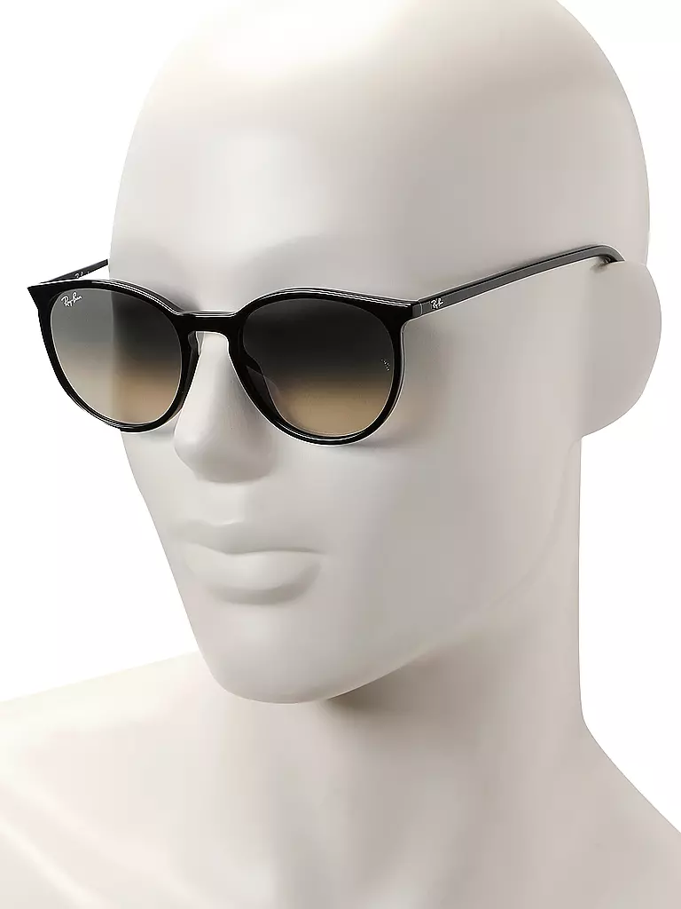 RAY BAN | Lunettes de soleil 2204/54 | 