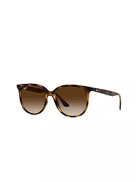 RAY BAN | Lunettes de soleil 4378/54 | Marron