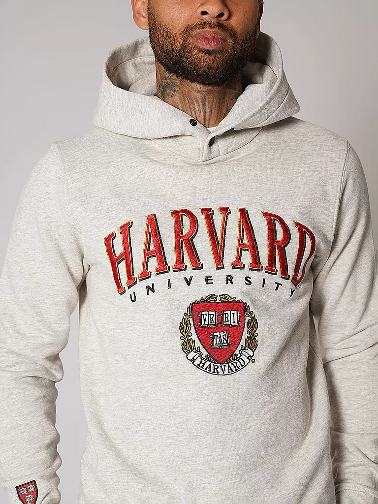 REPLAY | Kapuzensweater - Hoodie COLLEGE HARVARD | Gris