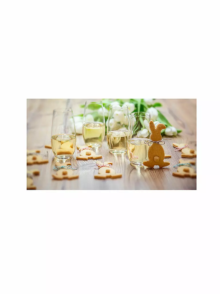 RIEDEL | Champagnerglas 2er Set O Wine Tumbler 264ml | 