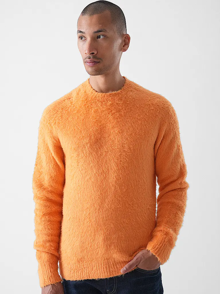 ROBERTO COLLINA | Pull | 