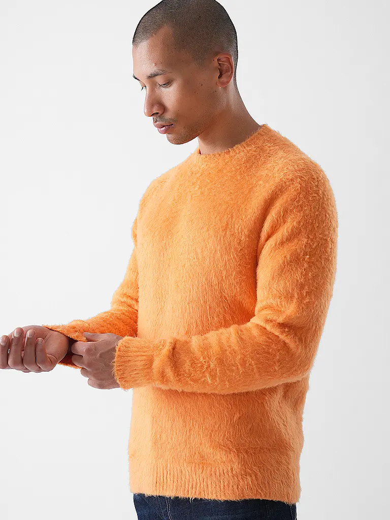 ROBERTO COLLINA | Pull | 