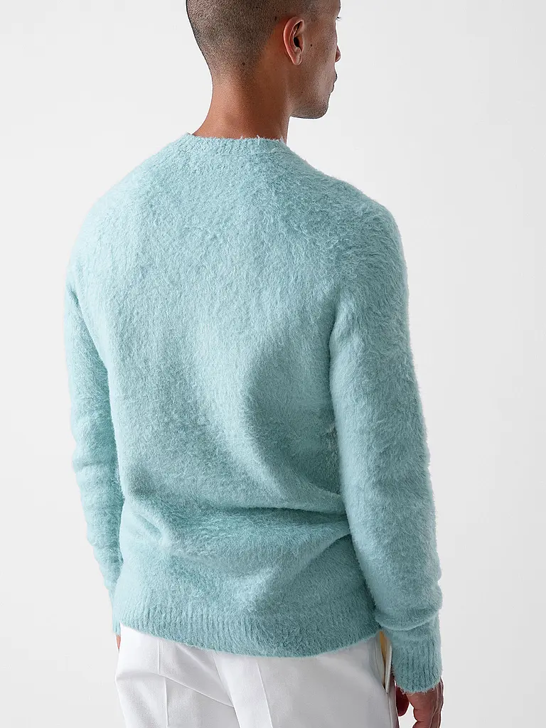 ROBERTO COLLINA | Pull | 