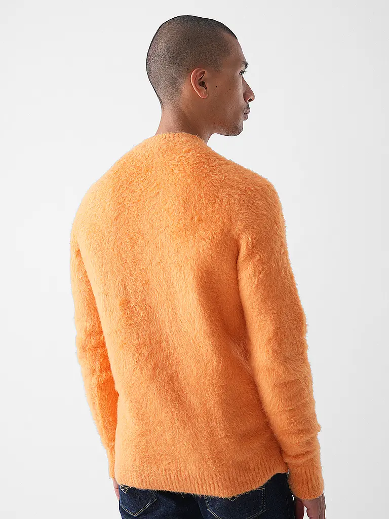 ROBERTO COLLINA | Pull | 