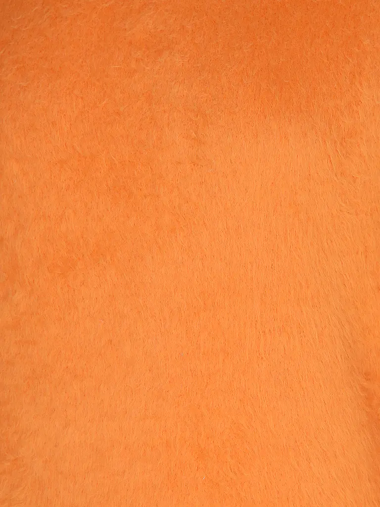 ROBERTO COLLINA | Pull | 