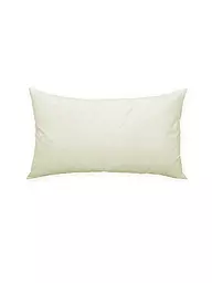 SANDER | Garniture de coussin plumes 33x50cm Crème | Crème