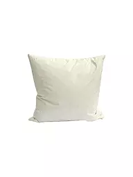 SANDER | Garniture de coussin plumes 50x50cm Crème | Crème
