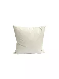 SANDER | Garniture de coussin plumes 60x60cm Crème | Crème