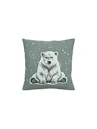 SANDER | Housse de coussin de Noël 45x45cm ARKTOS Blue Fox | Menthe