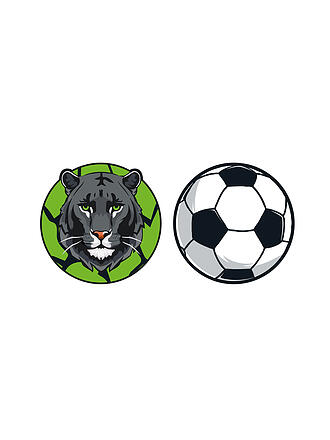 SCHNEIDERS | Patches Panthère/Ballon de foot