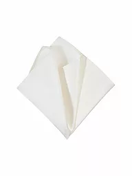 SEIDENFALTER | Pochette de costume | Beige