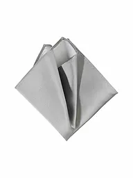 SEIDENFALTER | Pochette de costume | Argent