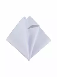 SEIDENFALTER | Pochette de costume | Blanc