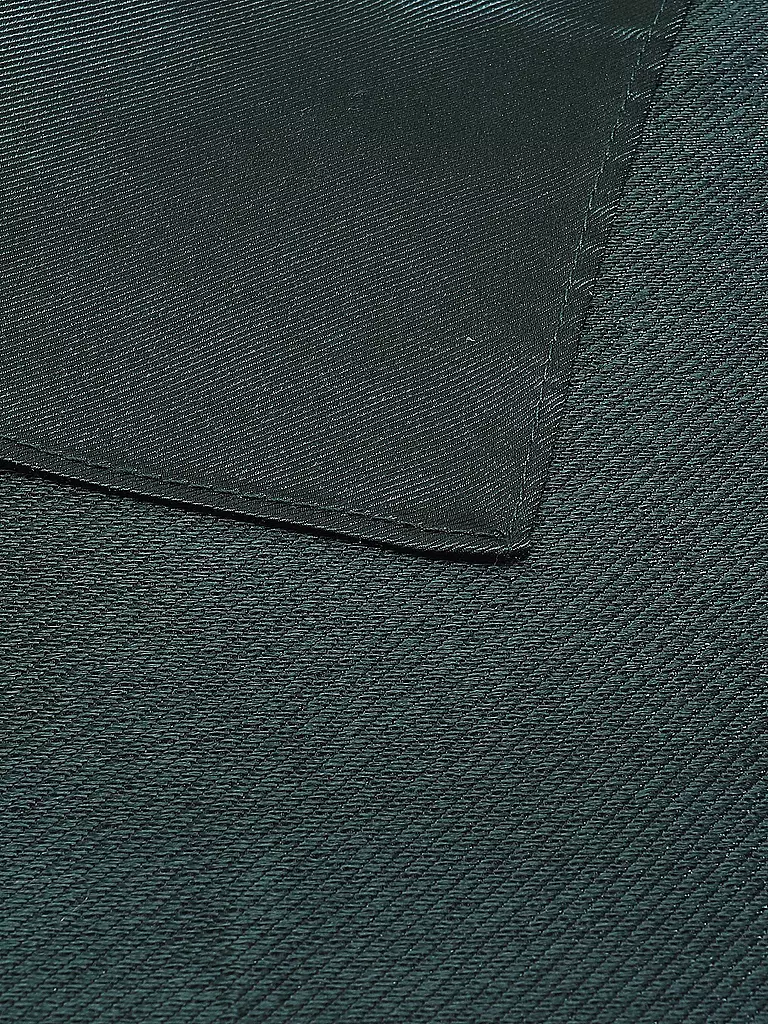 SEIDENFALTER | Pochette de costume | grün
