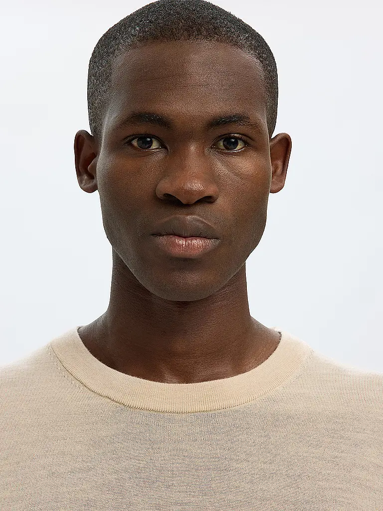 SELECTED | Pullover SLHTRAY | Marron