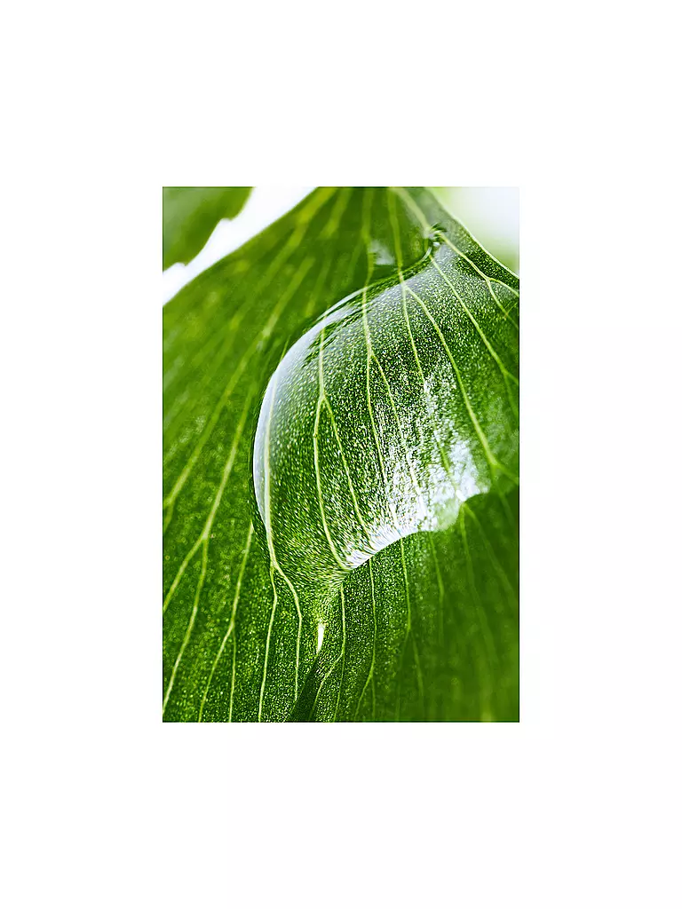 SISLEY | Gesichtscreme - Emulsion Ecologique formule avancée 125ml | 