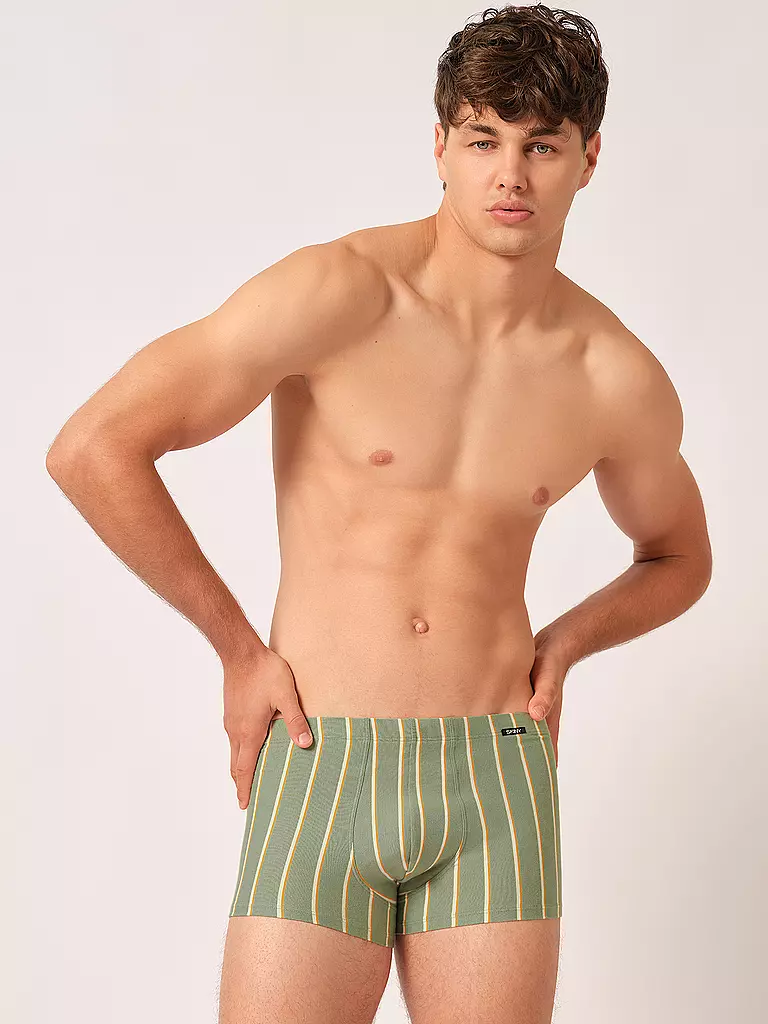 SKINY | Pants 2-er Pkg. greenbay stripes selection | Vert