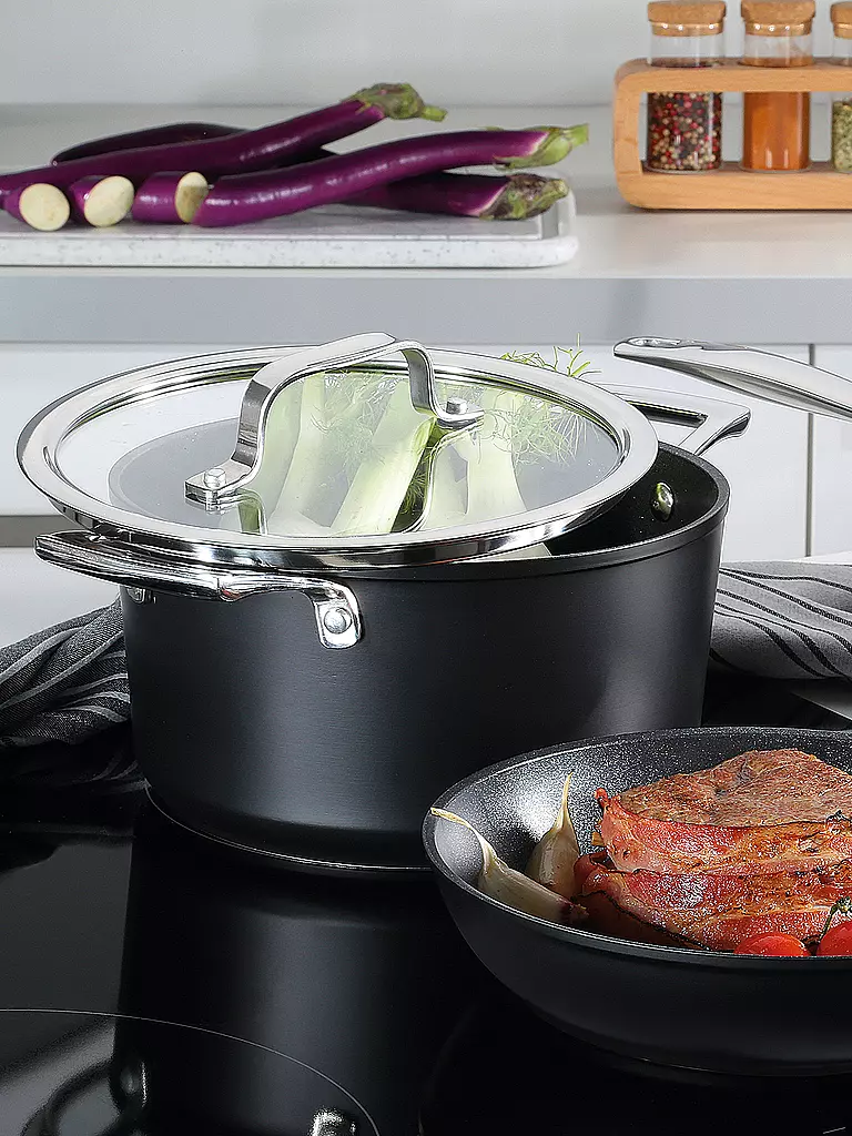 SPRING | Bratentopf MERIDIAN Intense Pro 20cm / 3l Antihaft | 
