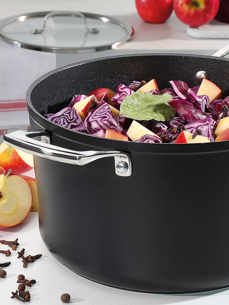 SPRING | Marmite MERIDIAN Intense Pro 24cm / 5,8l Antiadhésive | schwarz