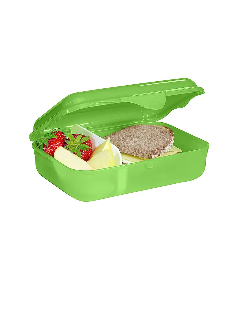 STEP BY STEP | Boîte à déjeuner Dino Targo Vert | Vert foncé