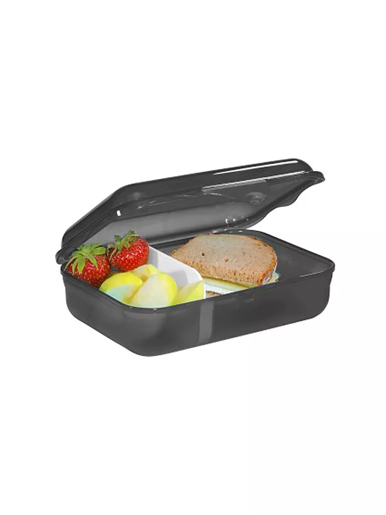 STEP BY STEP | Boîte de conservation - Boîte à déjeuner Wild T-Rex Taro | Noir