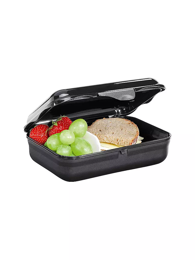 STEP BY STEP | Lunchbox - Wild Cat Chiko | Noir