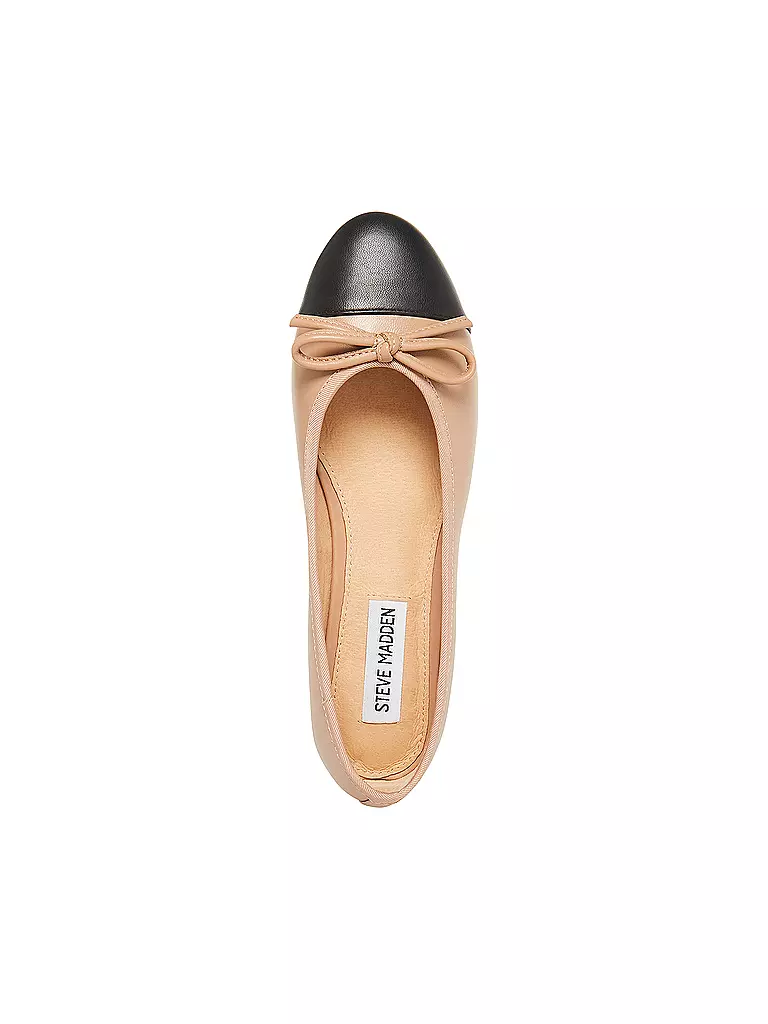 STEVE MADDEN | Ballerines ELLISON | 