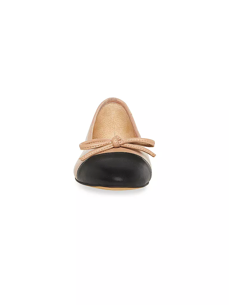 STEVE MADDEN | Ballerines ELLISON | 