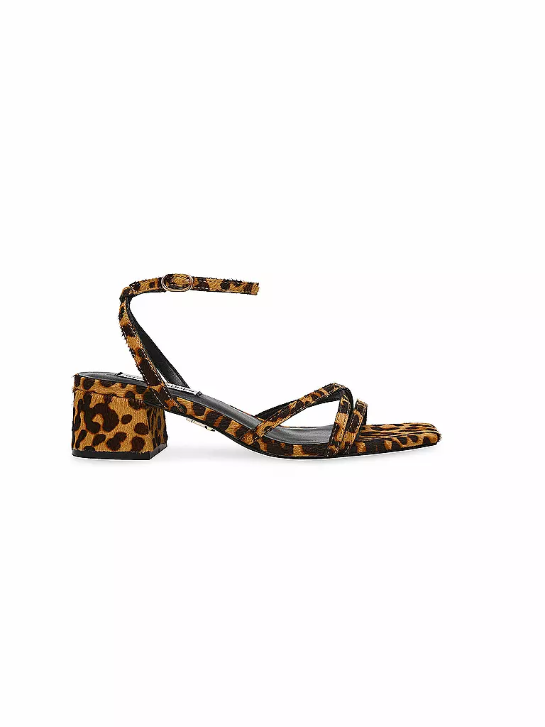 STEVE MADDEN | Sandales GABBY L | braun