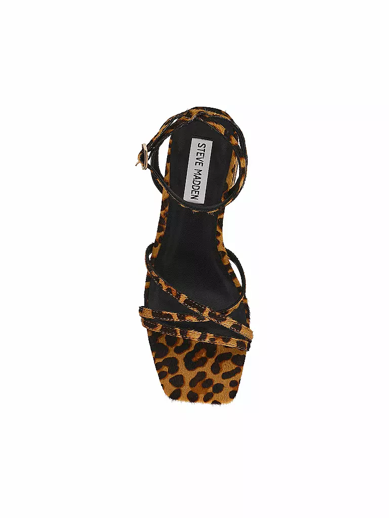 STEVE MADDEN | Sandales GABBY L | 