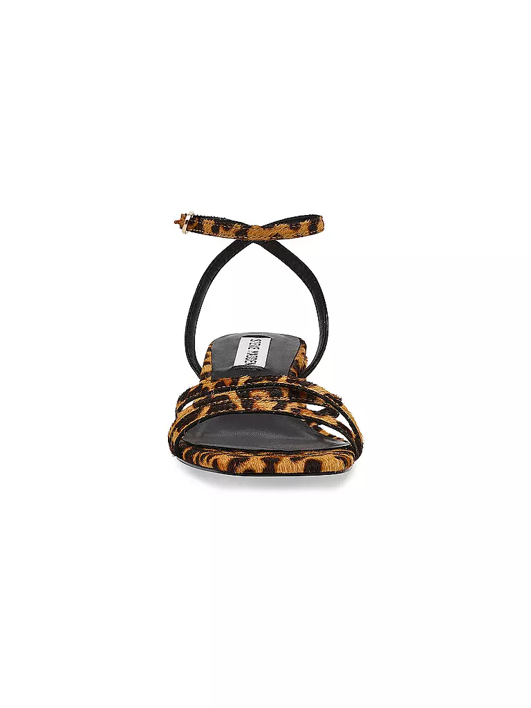 STEVE MADDEN | Sandales GABBY L | 