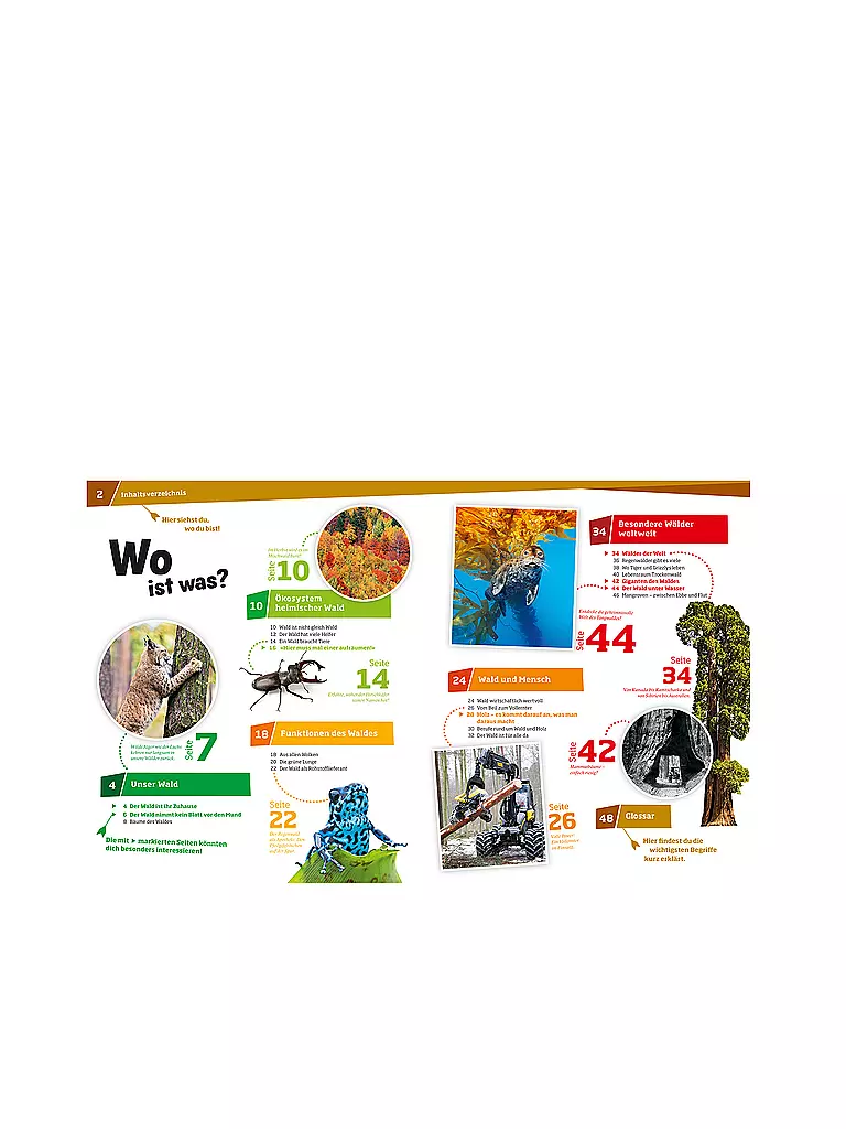 TESSLOFF VERLAG | Livre - Was ist Was - Forêt - Plus que de simples arbres 134 | keine Farbe
